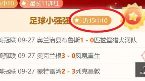 伊劳拉：成为教练后，如何平衡团队与个人想法
